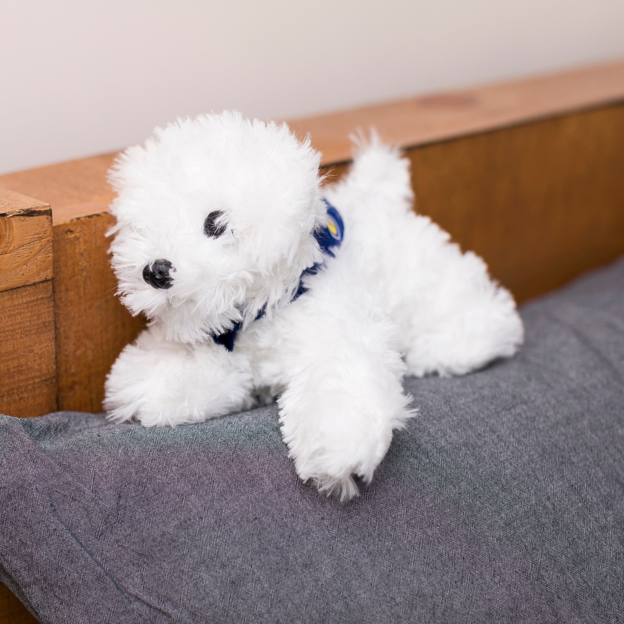 White Fluffy Dog with Mane 'n Tail Blue Bandana - Image 2