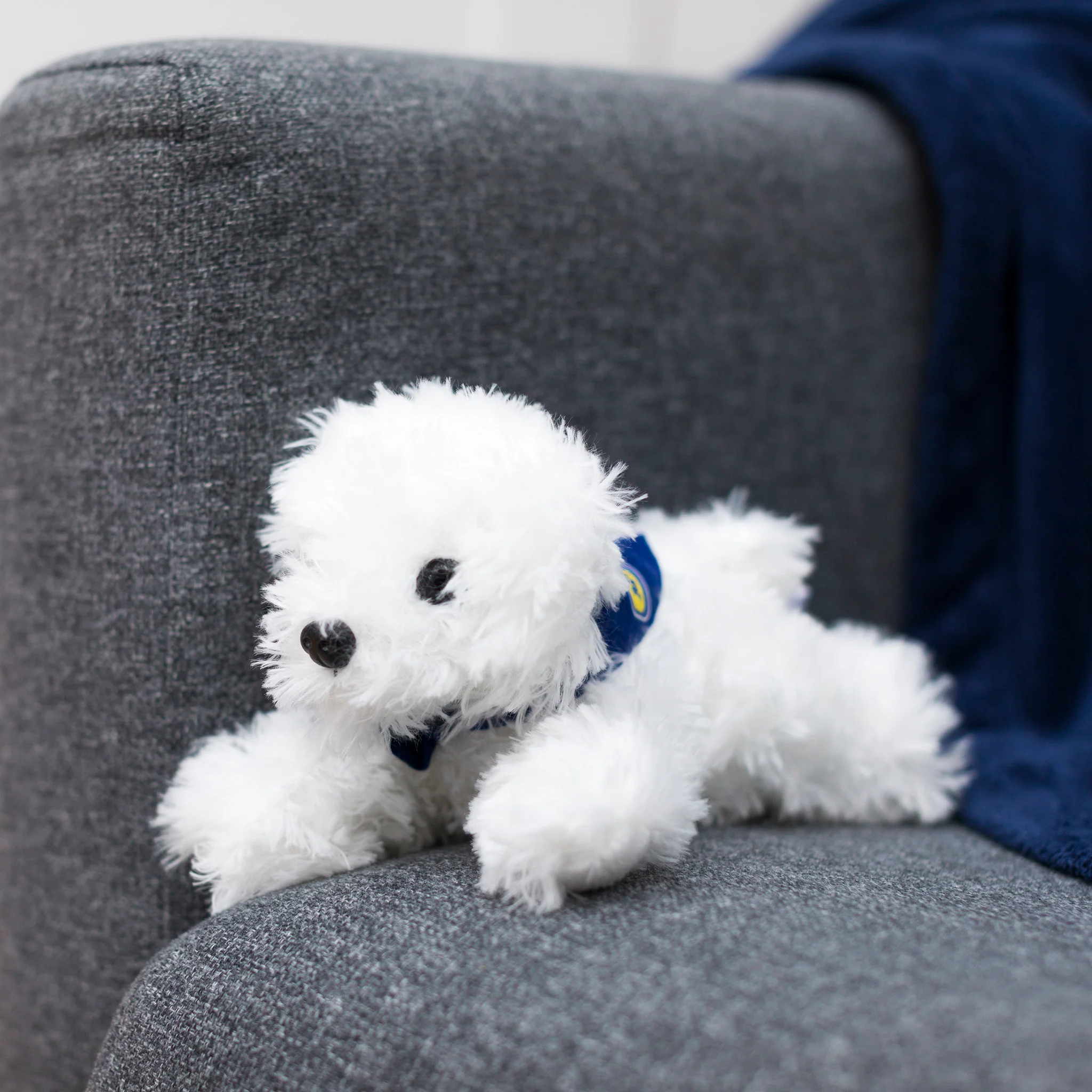 White Fluffy Dog with Mane 'n Tail Blue Bandana - Image 3