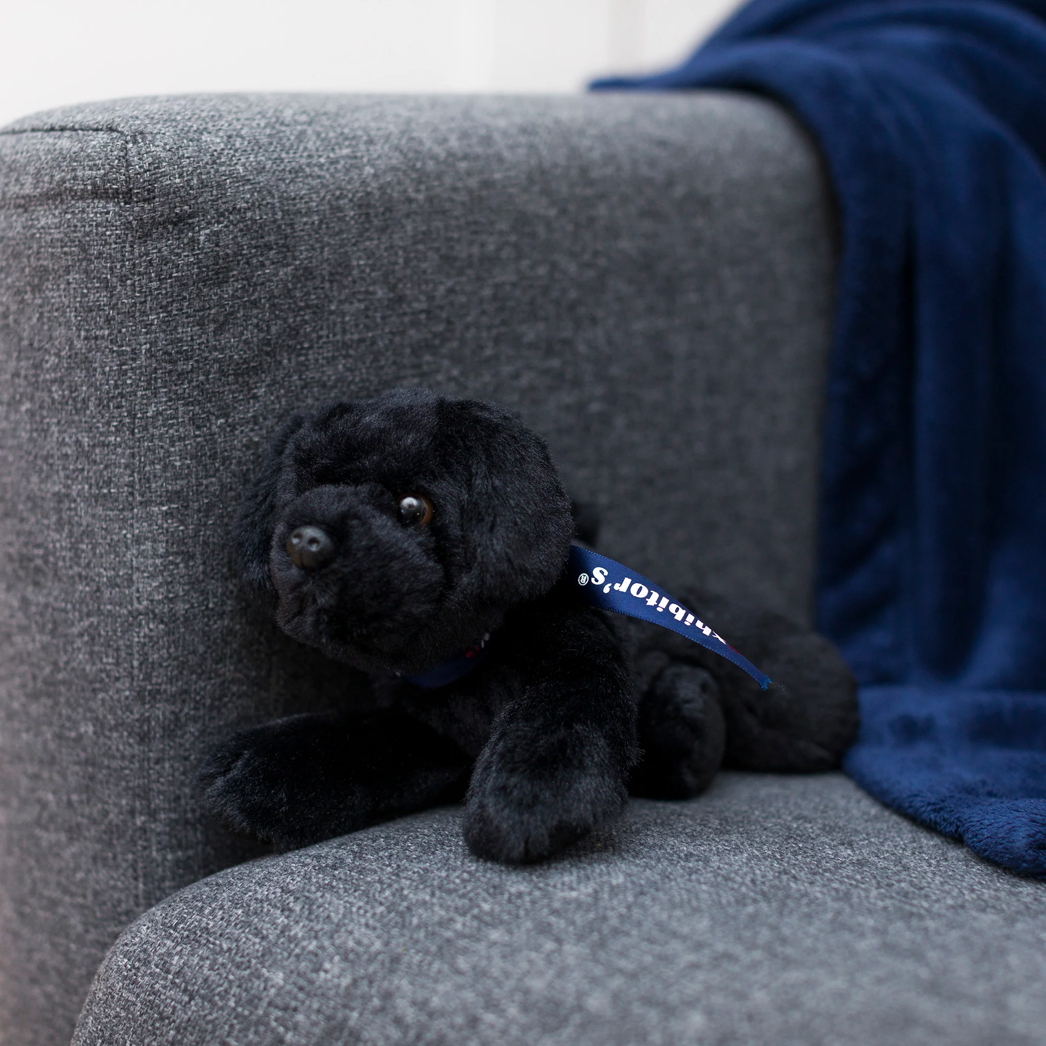 Black Lab with Mane 'n Tail Blue Bandana - Image 3