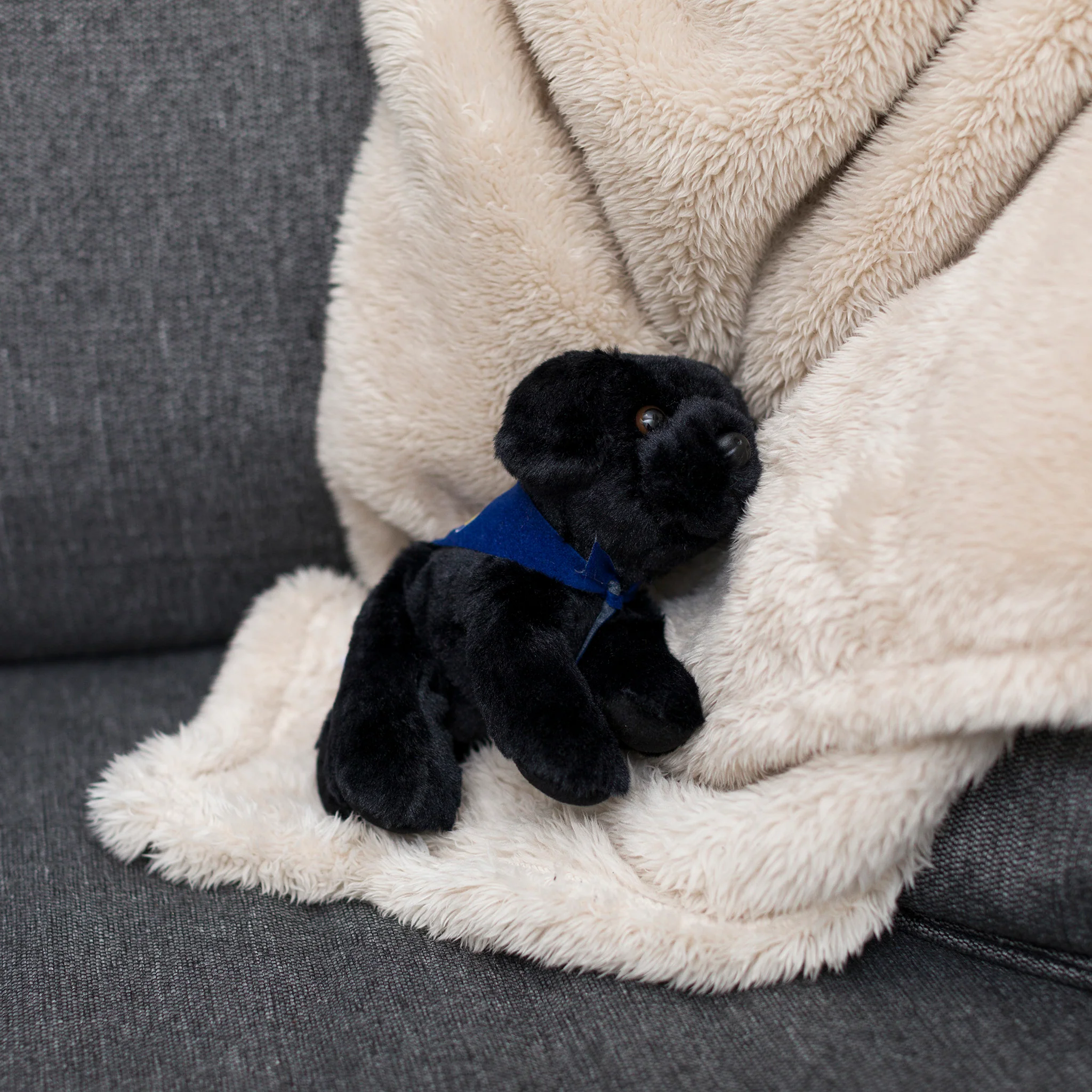 Black Lab with Mane 'n Tail Blue Bandana - Image 4