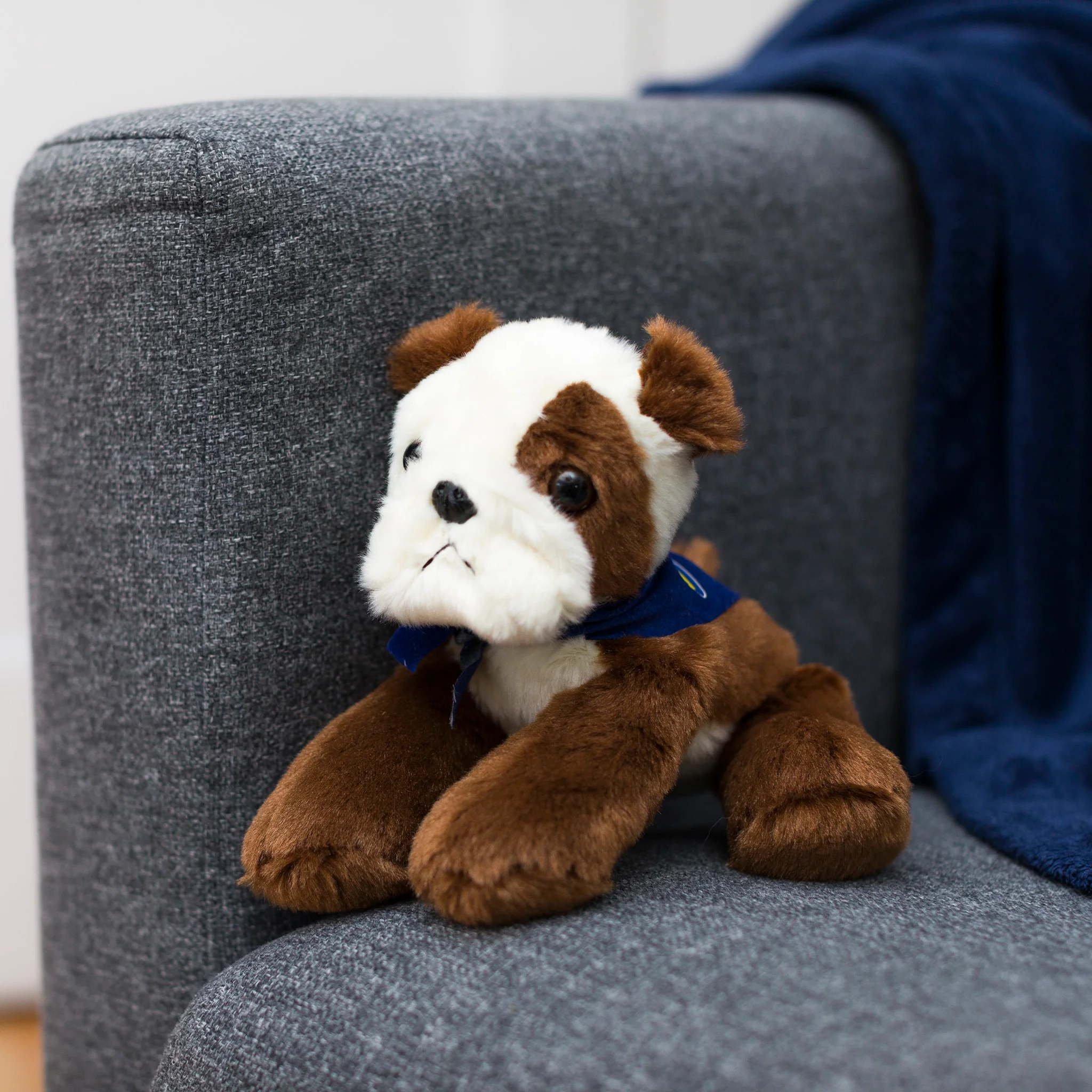 Bulldog with Mane 'n Tail Blue Bandana - Image 3
