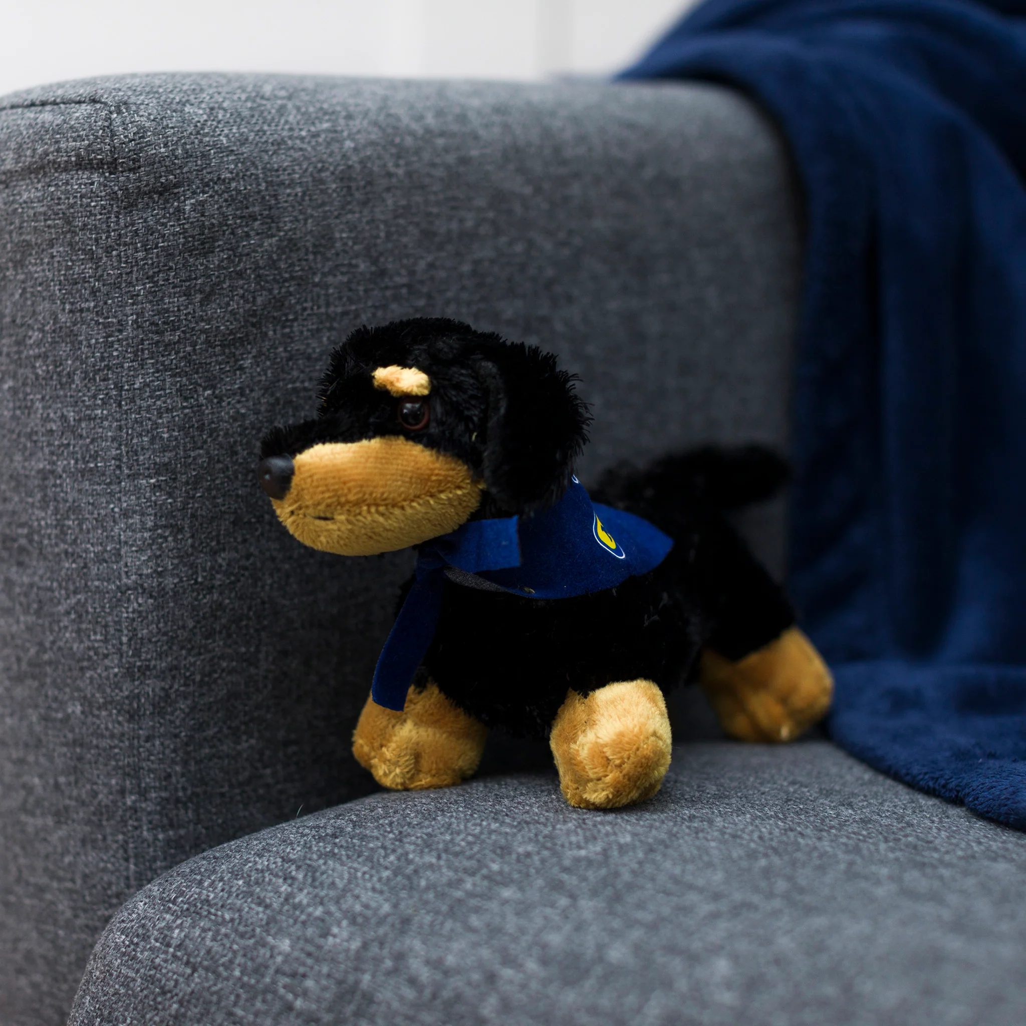 Dachshund with Mane 'n Tail Blue Bandana - Image 3