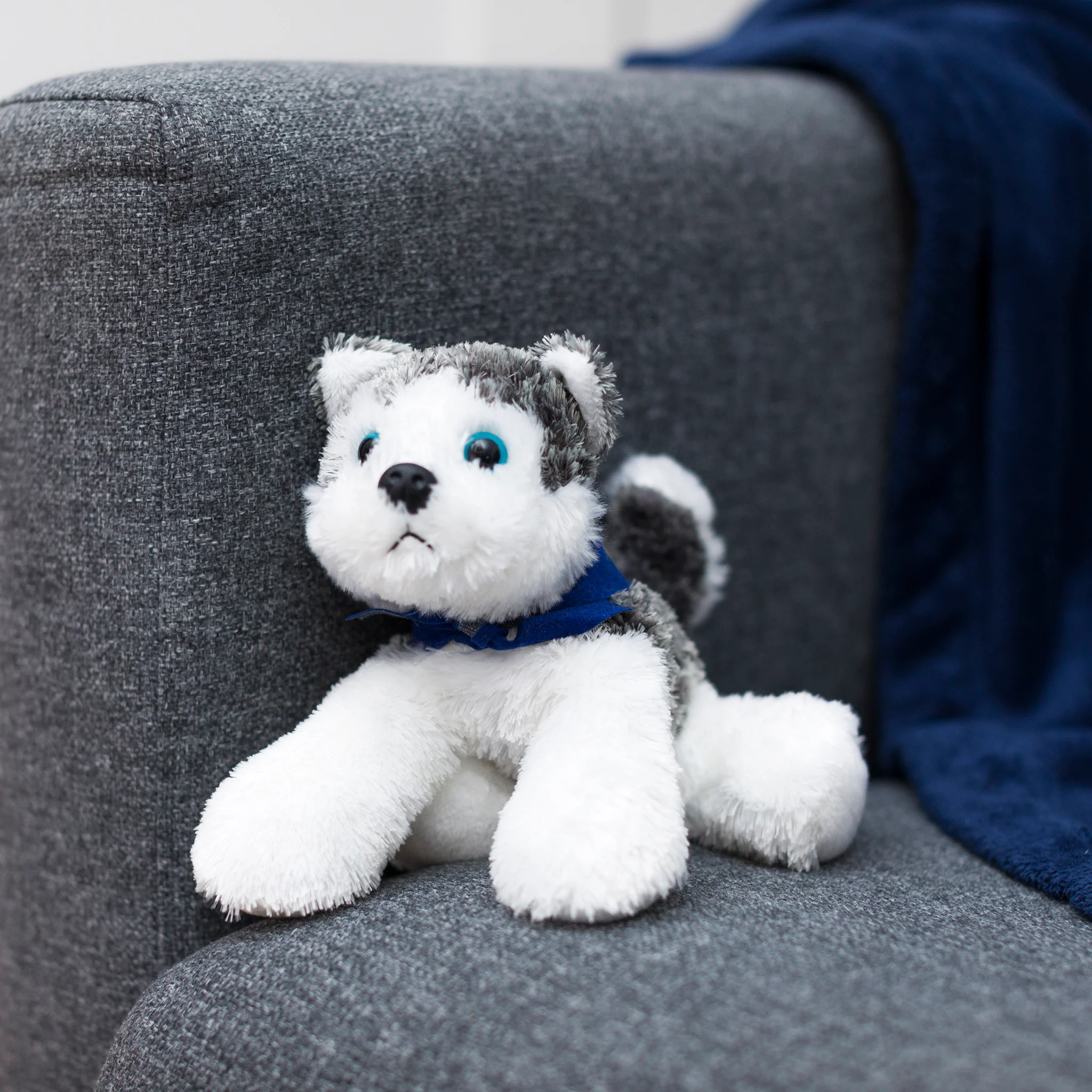 Husky with Mane 'n Tail Blue Bandana - Image 3