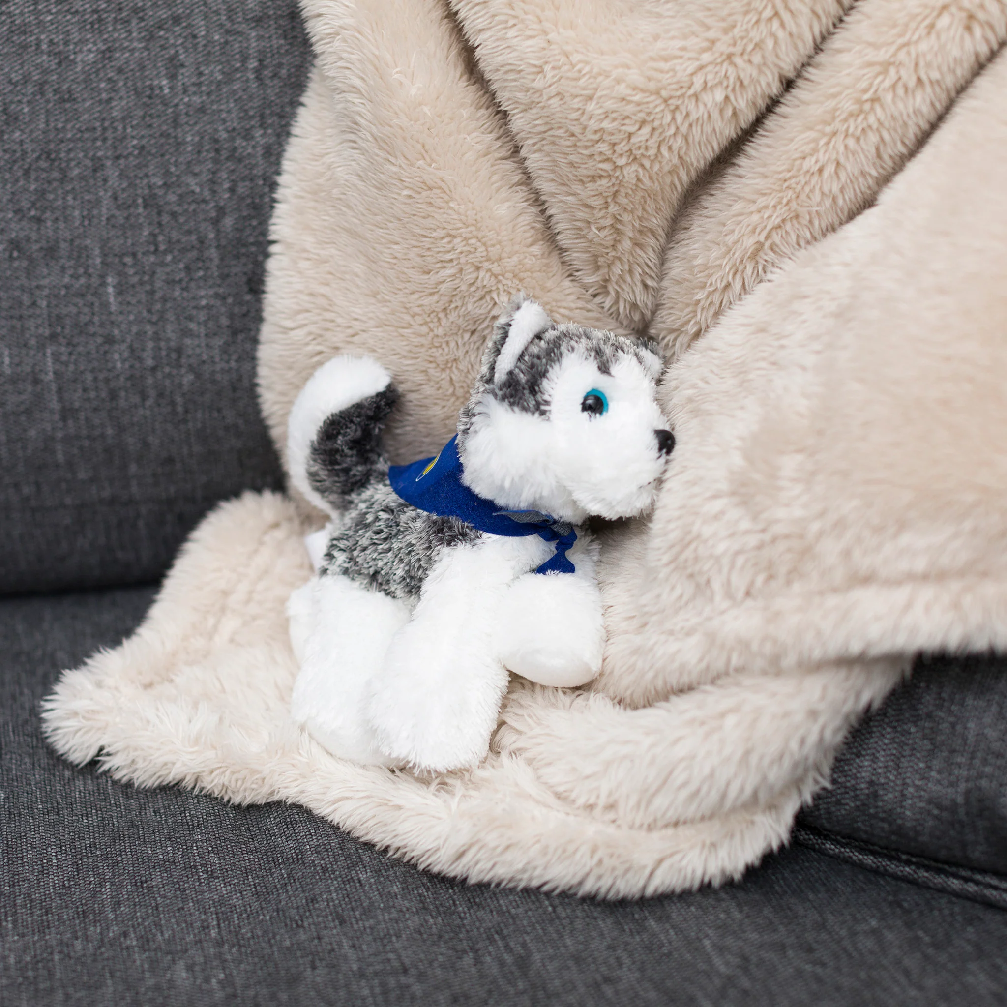 Husky with Mane 'n Tail Blue Bandana - Image 4