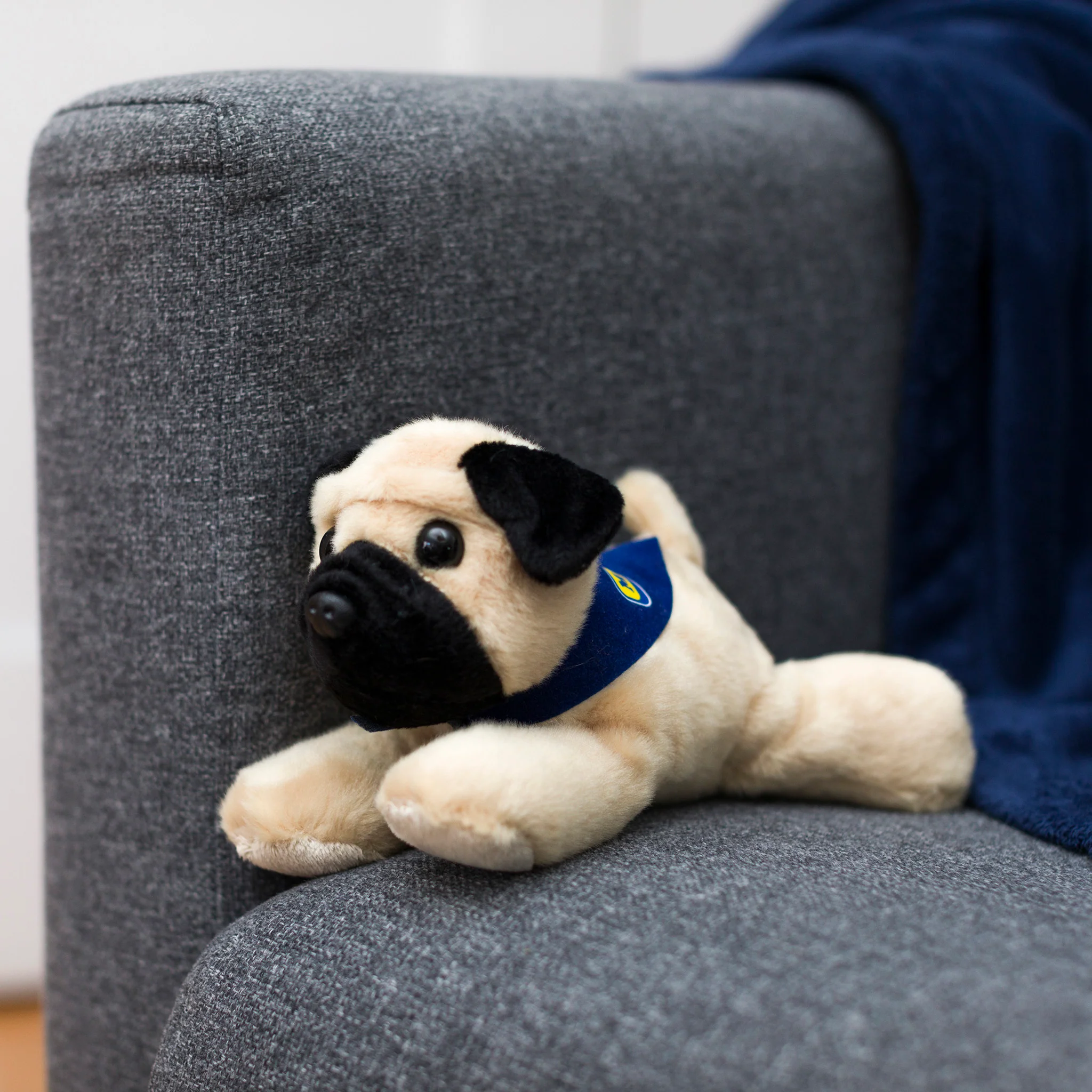 Pug with Mane 'n Tail Blue Bandana - Image 3