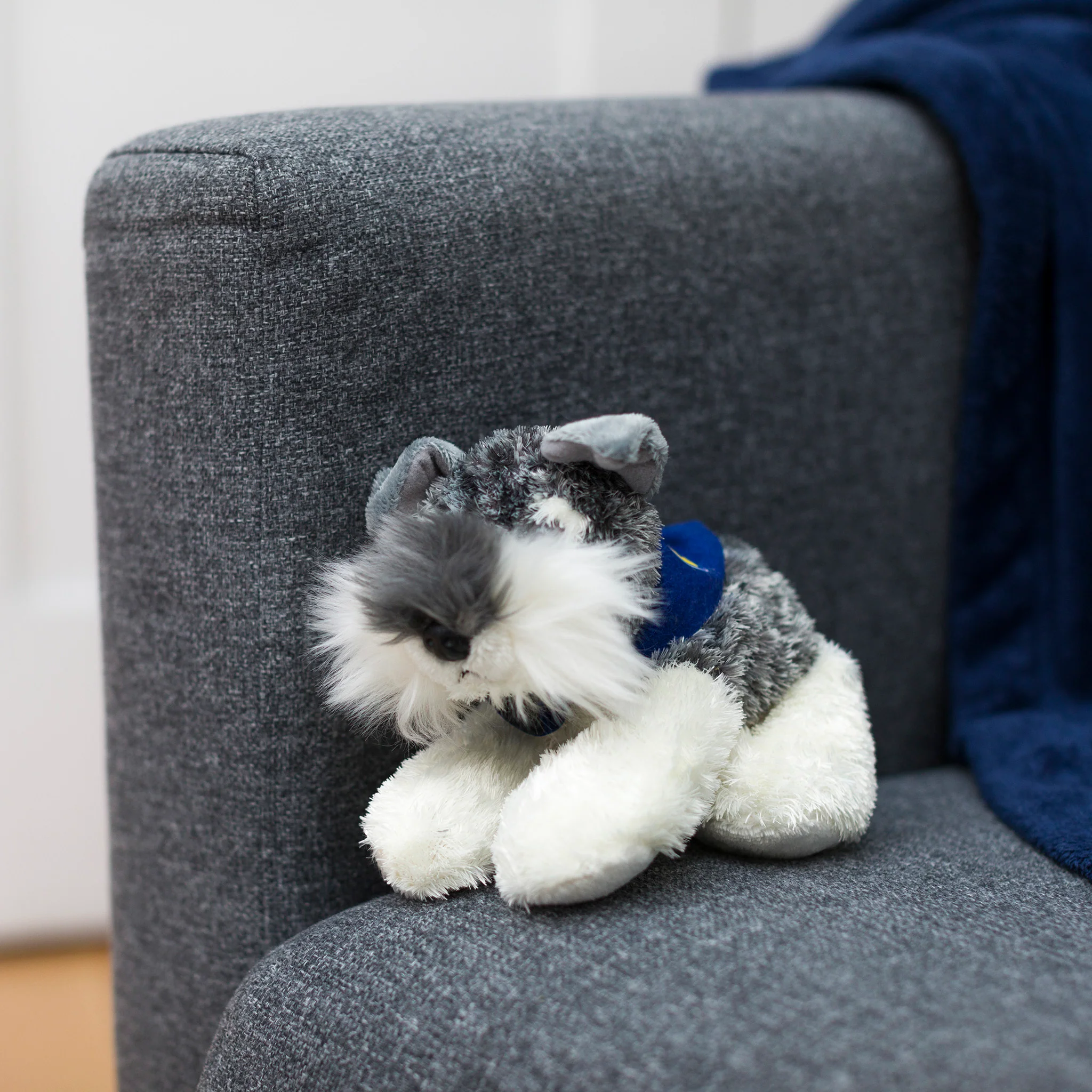 Schnauzer with Mane 'N Tail Blue Bandana - Image 3
