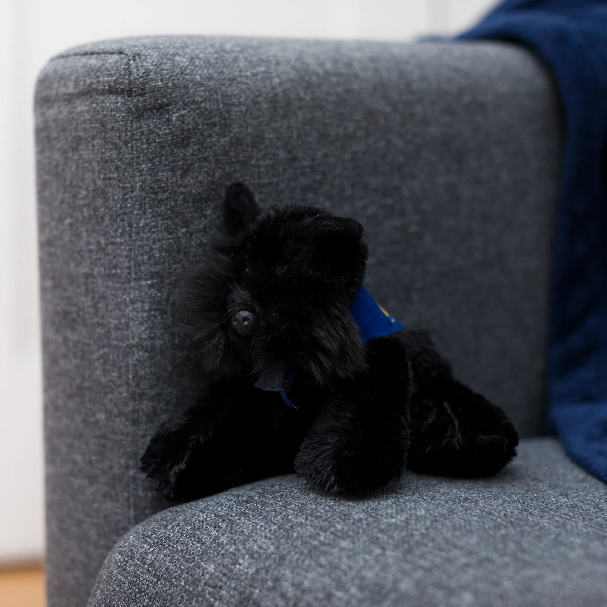 Scottie with Mane 'n Tail Blue Bandana - Image 3