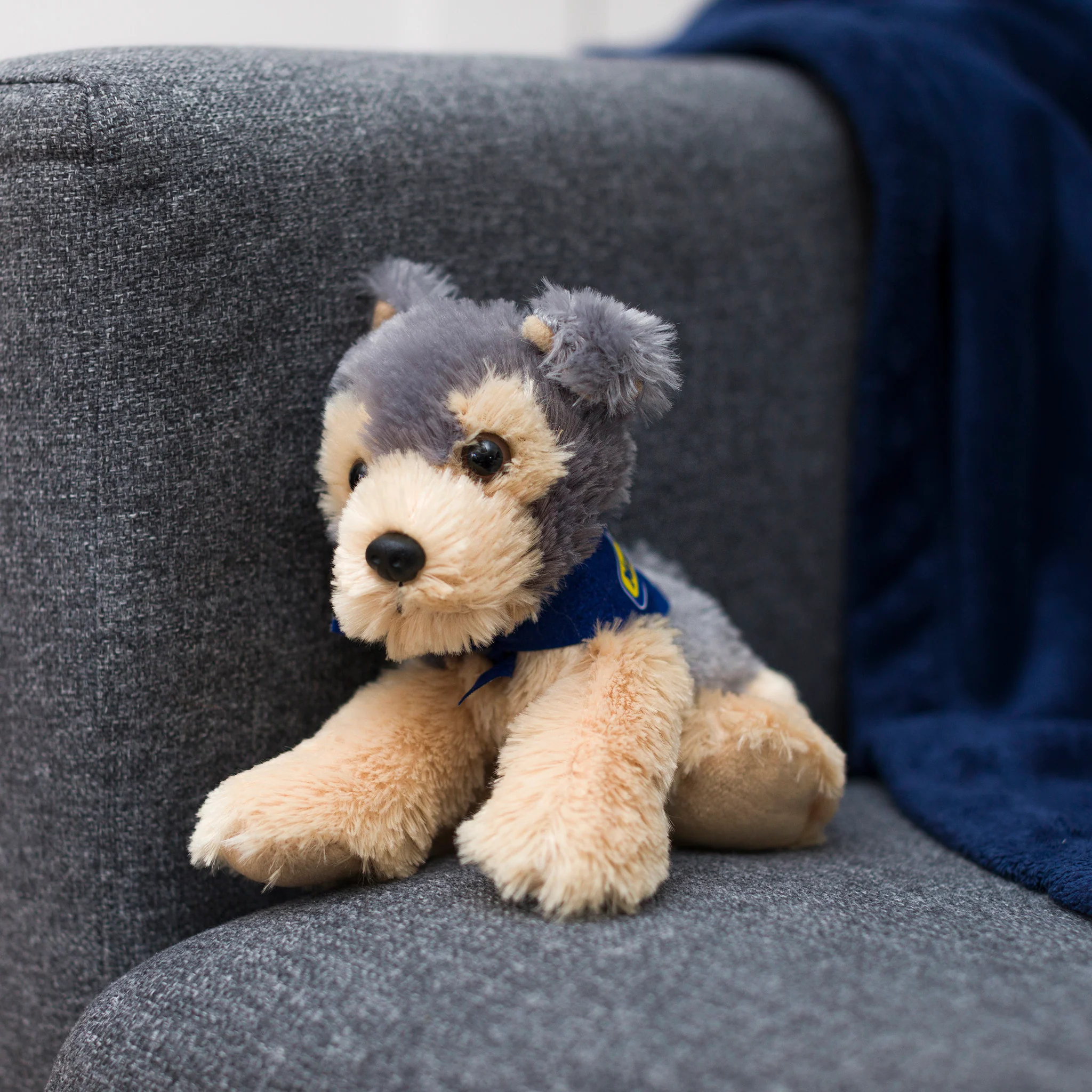 Yorkie with Mane 'n Tail Blue Bandana - Image 3